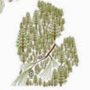 Meet your Posher, Detroit